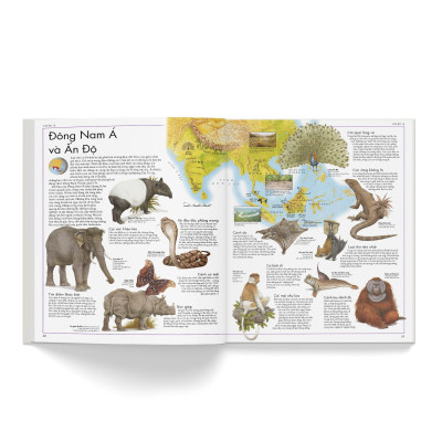Atlas Động Vật - Bách Khoa Bằng Hình Về Các Loài Động Vật Hoang Dã Trên Thế Giới
