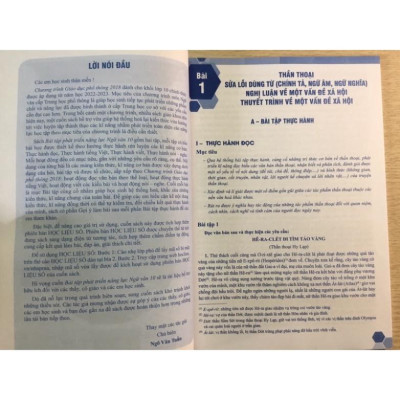 Sách - Bài Tập Phát Triển Năng Lực Ngữ Văn Lớp 10 Tập Một