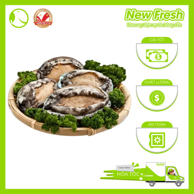 Bào Ngư Hàn Quốc Đông Lạnh - Túi 1Kg (8-10 con)