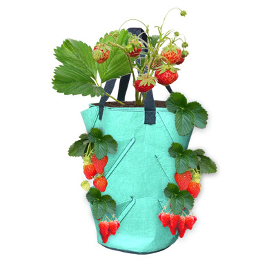 Túi Trồng Cây Bằng Vải 10 Gallon – Trồng Dâu, Cà Chua, Hoa, Rau Sạch – Có Quai, Dễ Di Chuyển