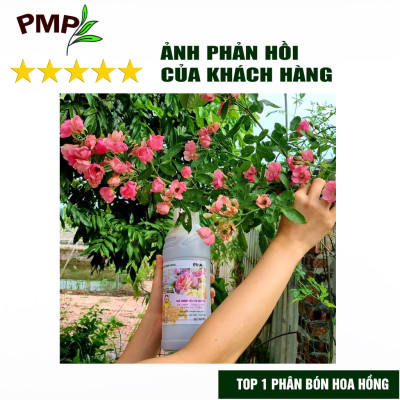 Phân Bón Hoa Hồng SOYMIC PMP Siêu Phân Bón Ủ Vi Sinh Từ Đậu Nành, Trứng, Chuối, Humic, Vi Lượng 1000ml