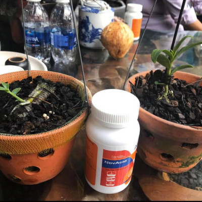  Phân bón hòa tan Isarel 13-40-13+Te không bị lắng cặn trong nước dùng qua hệ thống tưới nhỏ giọt hay tưới phun sương giúp xử lý ra hoa đồng loạt, kích thích ra hoa cho cây