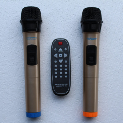 Loa Kéo Di Động Karaoke Bass 30 Daichipro DCP-12A (600W) 3 Tấc - Chính Hãng