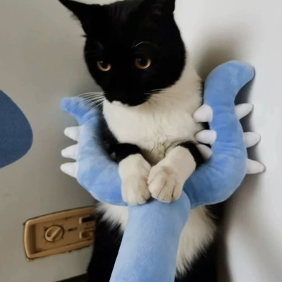 Gậy chiikawa 70cm ship HOẢ TỐC HCM que chinh phục gấu bông Chikawa usagi hachiware thập tự chinh