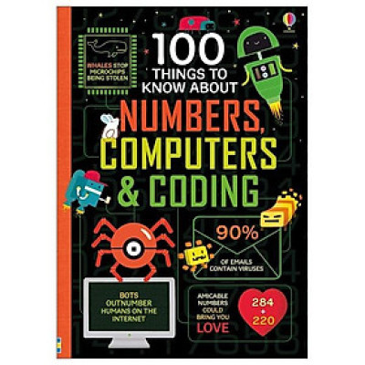 Usborne 100 Things To Know About Numbers , Computers and Coding