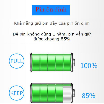 Combo 4 pin sạc AA 3000mAh kèm sạc BESTON C9009 - sạc nhanh tự ngắt - có đèn báo pin đầy - Hàng  nhập khẩu