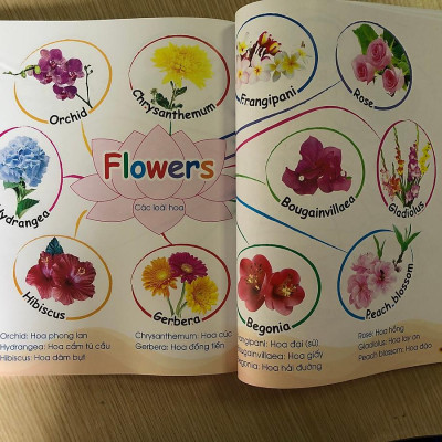 Bộ 2 Cuốn 1001 Mẫu Câu Tiếng Anh Giao Tiếp Thông Dụng Và Chinh Phục Từ Vựng Tiếng Anh Theo Sơ Đồ Tư Duy Mind Map