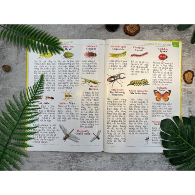 Sách - Bách khoa thư về thế giới động vật - Bìa cứng (VT-MK)