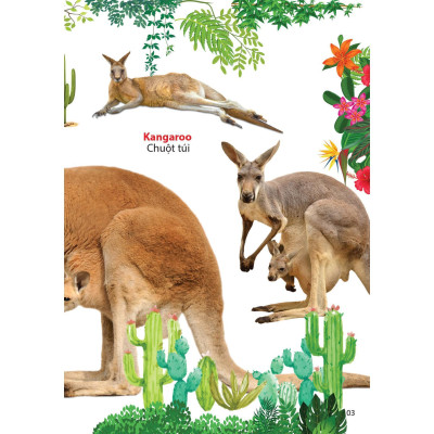 Sách - Động Vật Ở Châu Úc - Chính Thông Book