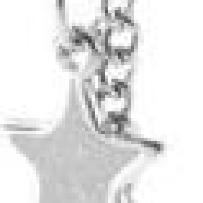 Đôi khuyên tai bông tai đuôi sao hai chỗ đeo thời trang