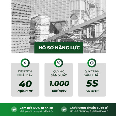 Gạo thơm nàng hoa lúa tôm 5RICE - túi 5KG - gạo thượng hạng, thơm dẻo, đậm vị chính hãng