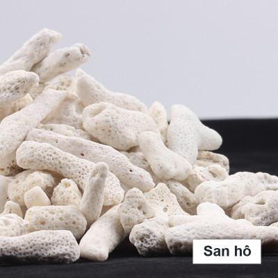 1Kg Vật liệu lọc hồ cá: bông 8D, men vi sinh hồ cá PSB 100ML cao cấp