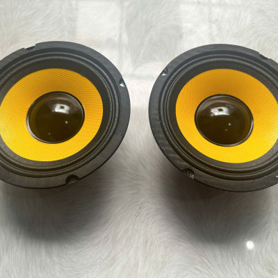 CỦ LOA BASS RỜI 16 HÀNG CHÍNH HÃNG HẢI TRIỀU COIL 38 TỪ 100 GÂN VẢI MÀN VÀNG (GIÁ 1 CÁI)