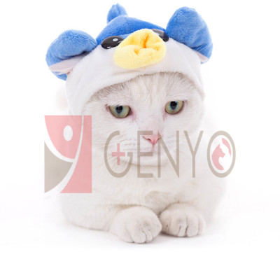 Nón trùm đầu cho thú cưng - Genyo pet hat 003 ( một cái, màu và mẫu giao ngẫu nhiên )