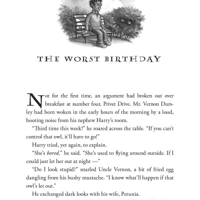 Harry Potter Part 2: Harry Potter And The Chamber Of Secrets (Paperback) (Harry Potter và phòng chứa bí mật) (English Book)