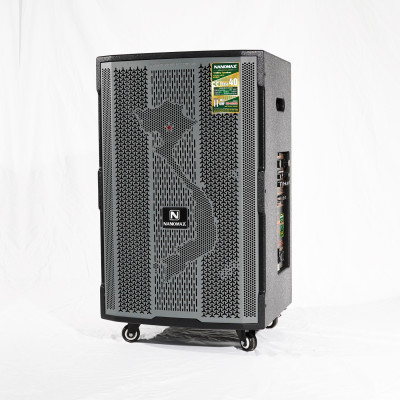 Loa Kéo Công Suất Lớn Nanomax SK-0209 Bass 4 Tấc 40cm Công Suất 650w Karaoke Bluetooth Hàng Chính Hãng