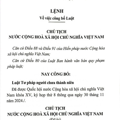 Sách - Luật Tư Pháp Người Chưa Thành Niên