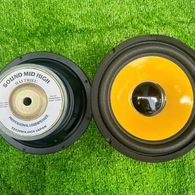 CỦ LOA BASS RỜI 20 TỪ LỚN HÀNG CHÍNH HÃNG HẢI TRIỀU COIL 38 TỪ 126 MÀN VÀNG (GIÁ 1 CÁI)