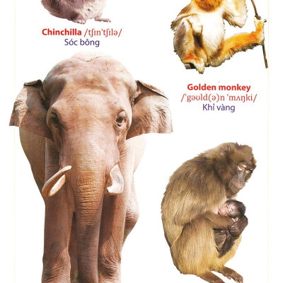 Từ Điển Anh - Việt Bằng Hình: Động Vật (Dành Cho Trẻ Từ 2 - 6 Tuổi)