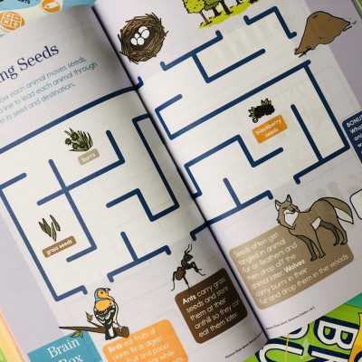 Sách - summer brain quest grade 1&2 ( 6 - 7 tuổi )