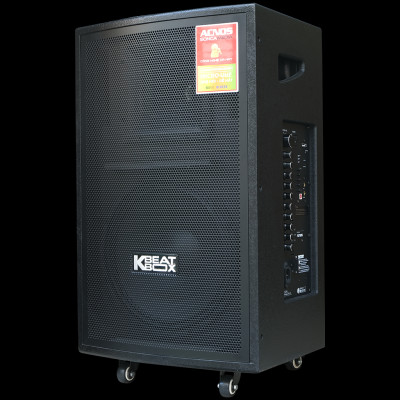 Dàn âm thanh di động ACNOS CB31