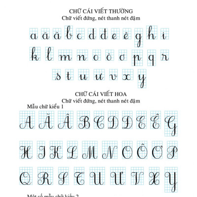 Sách - Giúp em viết chữ đẹp lớp 5 - tập 1 (Theo SGK CD và KNTT) (KP)