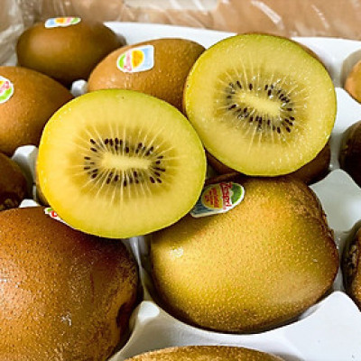 Kiwi Vàng