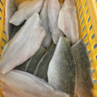 CÁ CHẼM FILLET 