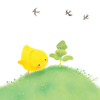 Sách - Gà con và hoa hướng dương