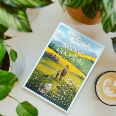 Không Gia Đình (Bìa Cứng)