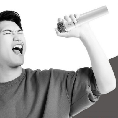 Loa + Mic trợ giảng Shidu cao cấp chuyên nghiệp (Micro cầm tay) - Hàng nhập khẩu