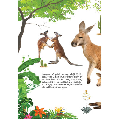 Sách - Động Vật Ở Châu Úc - Chính Thông Book