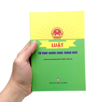 Sách - Luật Tư Pháp Người Chưa Thành Niên