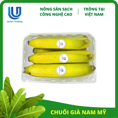 Chuối Tươi Union Trading - Hộp 1Kg - Thơm Dẻo, Giàu Dinh Dưỡng - Trồng Công Nghệ Cao Tại Việt Nam