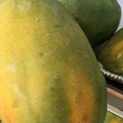 [Chỉ Giao HCM] Đu Đủ Chín - Trái 1,5kg trồng sạch