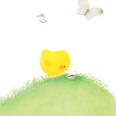 Sách - Gà con và hoa hướng dương