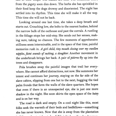 A Woman Of Endurance