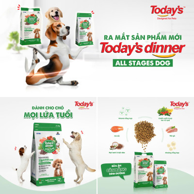 [ 5KG ] Thức ăn hạt cho chó mọi lứa tuổi TODAY