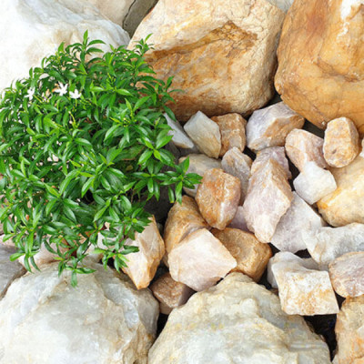 1kg đá thạch anh hồng vụn 4x6cm NHASAN rải sàn, trấn trạch