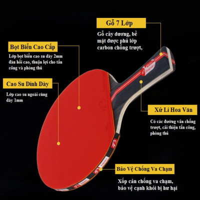 Bộ 2 Vợt Bóng Bàn 5 Sao + 3 Quả Bóng Bàn Chính Hãng Amalife – Bộ Bóng Bàn Kèm 3 Quả Bóng Cao Cấp