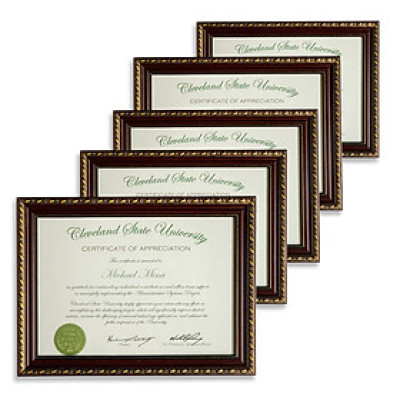 Combo 5 khung ảnh bằng khen  hoa văn A3,A4 - Khung ảnh treo tường kèm đinh tiện lợi