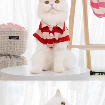 ÁO THUN POLO CHO THÚ CƯNG CHÓ MÈO