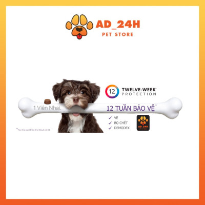 BRAVECTO diệt ghẻ, ve rận, bọ chét (chó 4.5-10kg) 