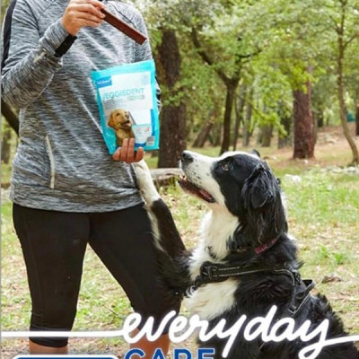 1 thùng (10 gói) Veggiedent sạch răng, thơm miệng, giảm cao răng cho chó (Virbac)