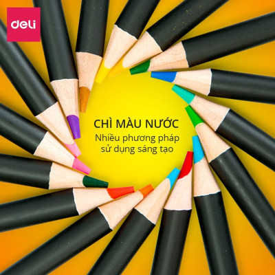 Bút chì màu nước cao cấp Deli dạng cốc - 24 màu/36 màu/48màu/72 màu - 68100/68101/68102/68114