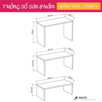 Bàn sofa phòng khách kiểu dáng thanh lịch SMLIFE Carey