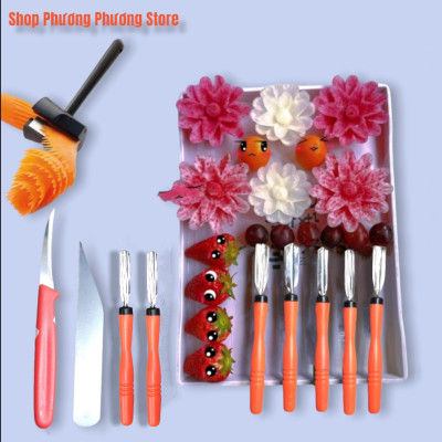 Sét 10 món dụng cụ - dao tỉa hoa quả nghệ thuật cao cấp