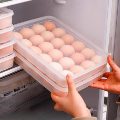 Khay đựng trứng có nắp đậy 24 quả 