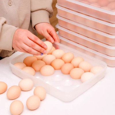 combo khay đựng trứng 24 quả có nắp đậy tiện dụng cao cấp