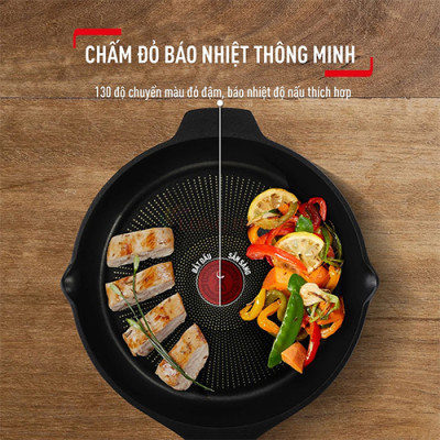 Chảo đúc chiên Tefal Robusto có miệng rót (20cm/22cm/24cm) - Hàng chính hãng